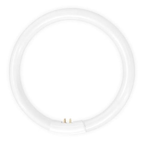 22w circular bulb 25 - bulb,7.25, inch
